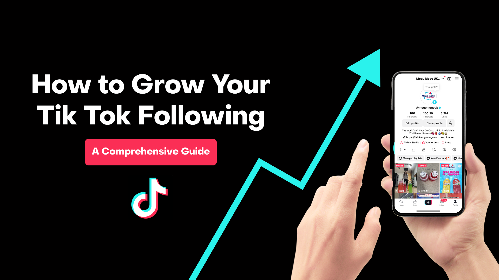 Grow Tik Tok followers blog